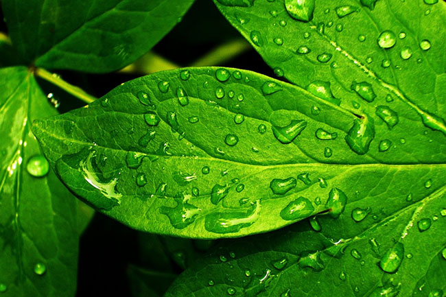 الگوریتم تازگی محتوای گوگل Freshness